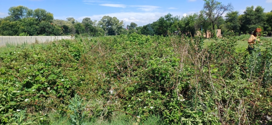 3 Bedroom Property for Sale in Oudorp North West